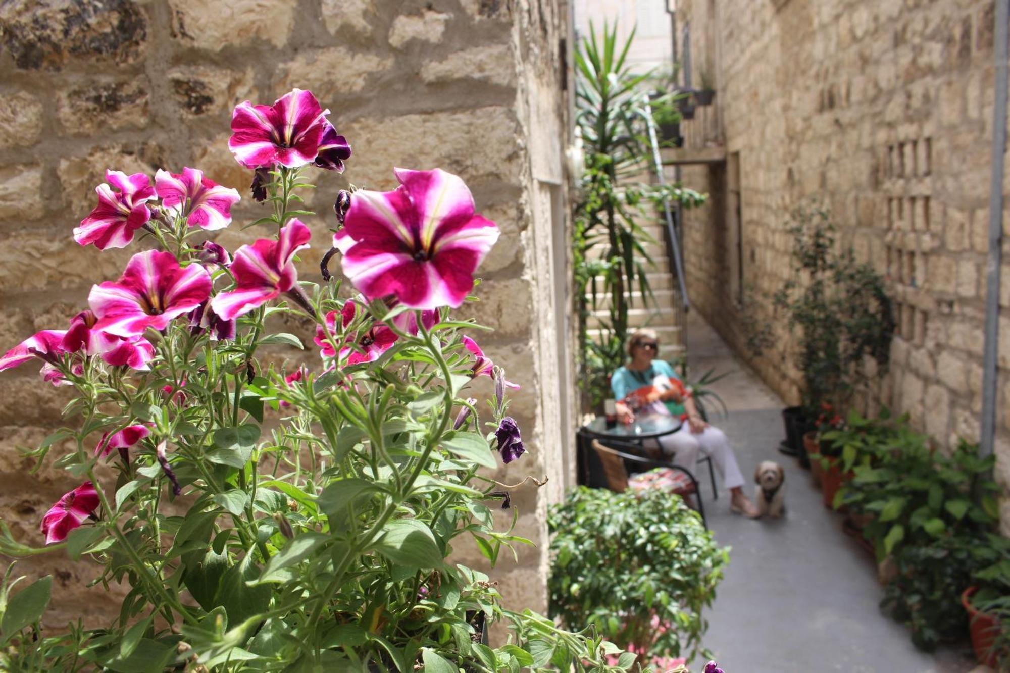 Street Garden Apartment Đảo Hvar Ngoại thất bức ảnh