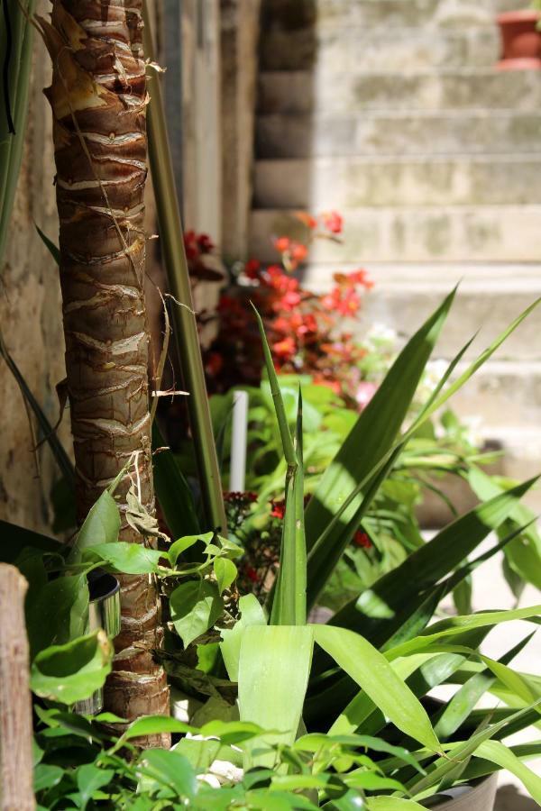 Street Garden Apartment Đảo Hvar Ngoại thất bức ảnh